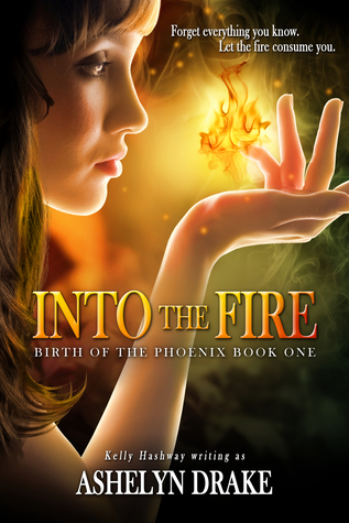 Into the Fire book cover