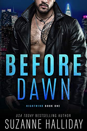 Nightwind book cover 1