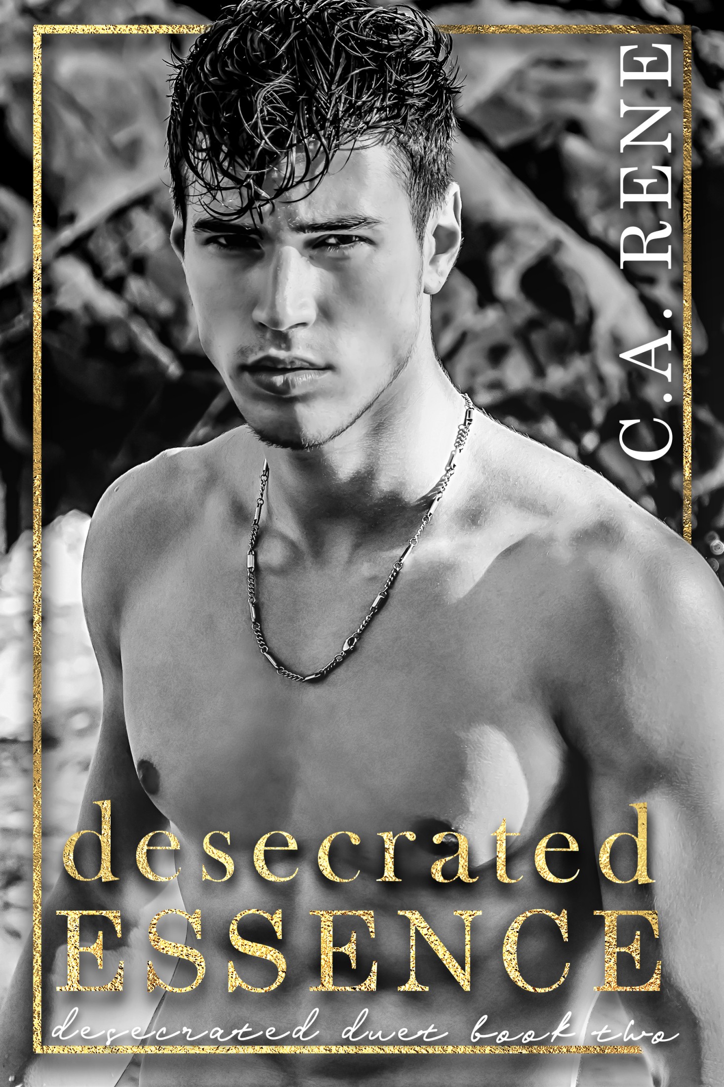 Desecrated Duet book cover 2
