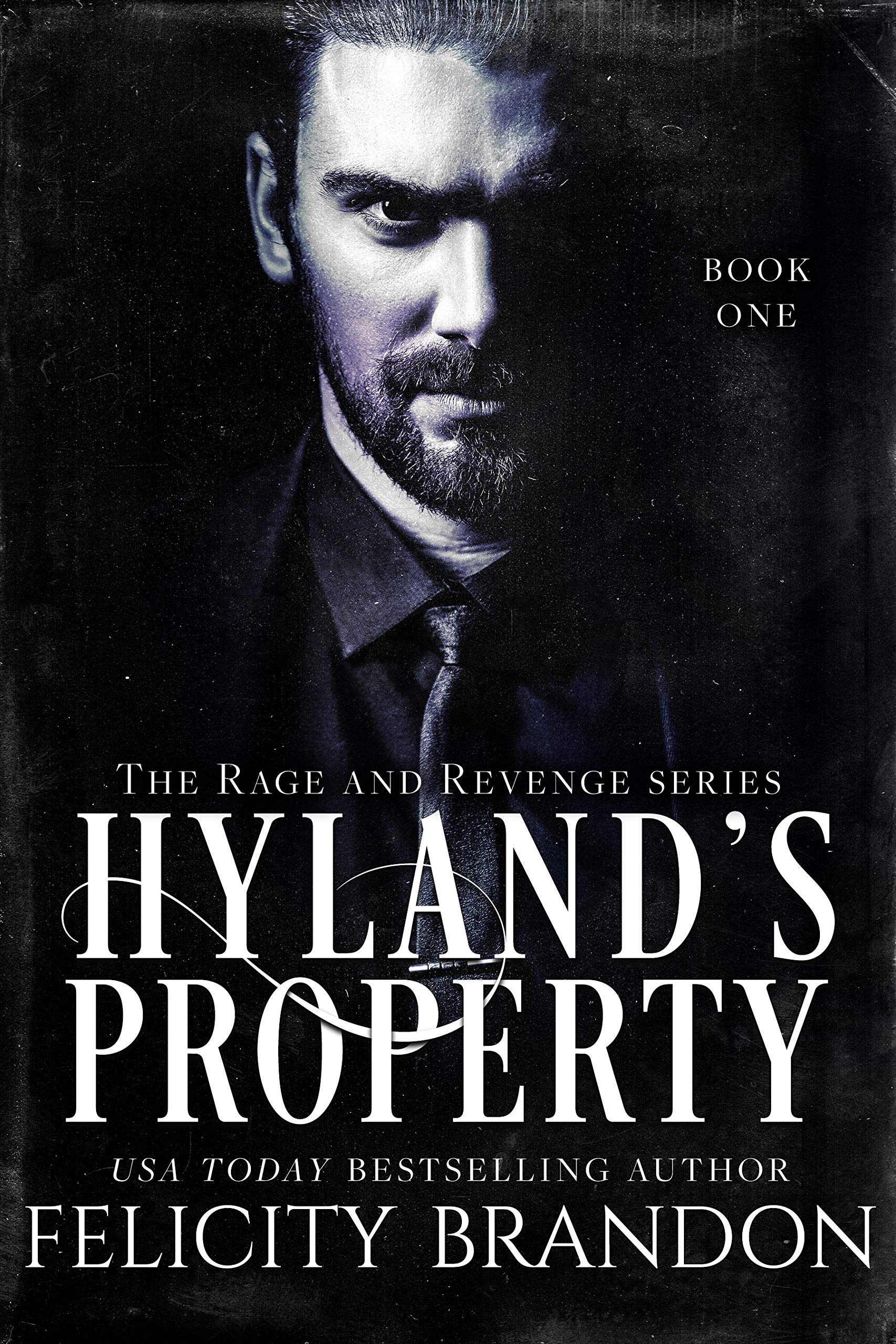 The Rage and Revenge book cover 1