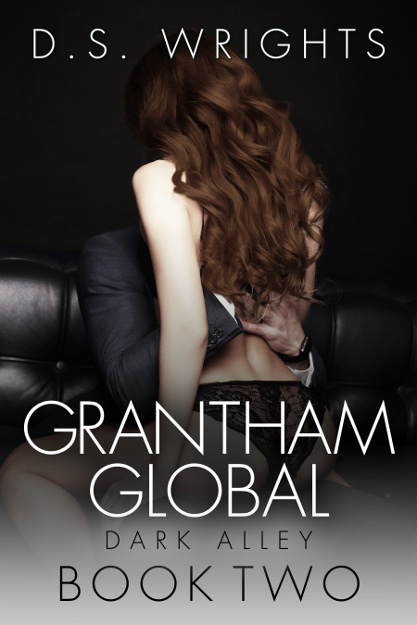 Dark Alley book cover 2