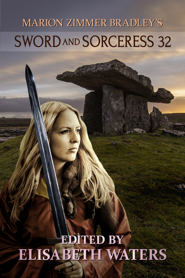 Sword and Sorceress 32 book cover