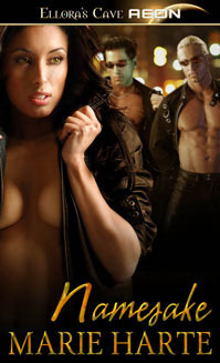 Voiders aka Cross Step book cover 1
