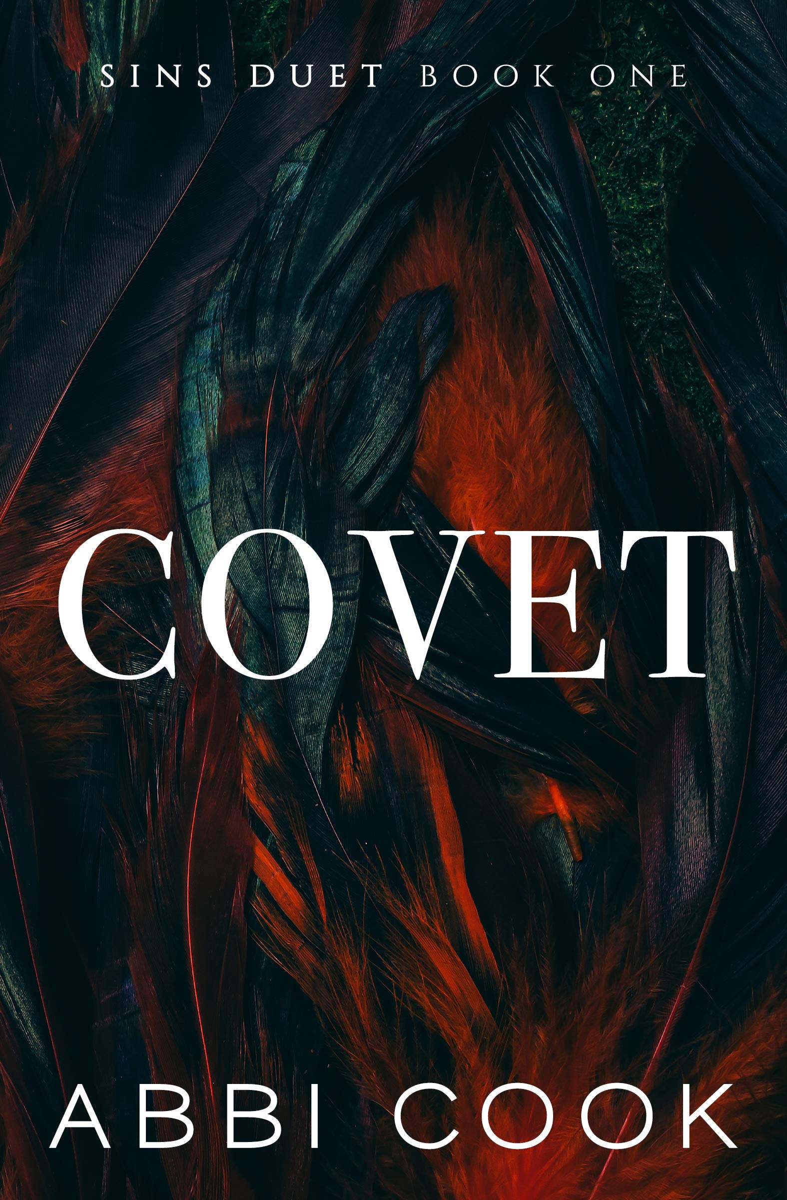 Sins Duet book cover 1