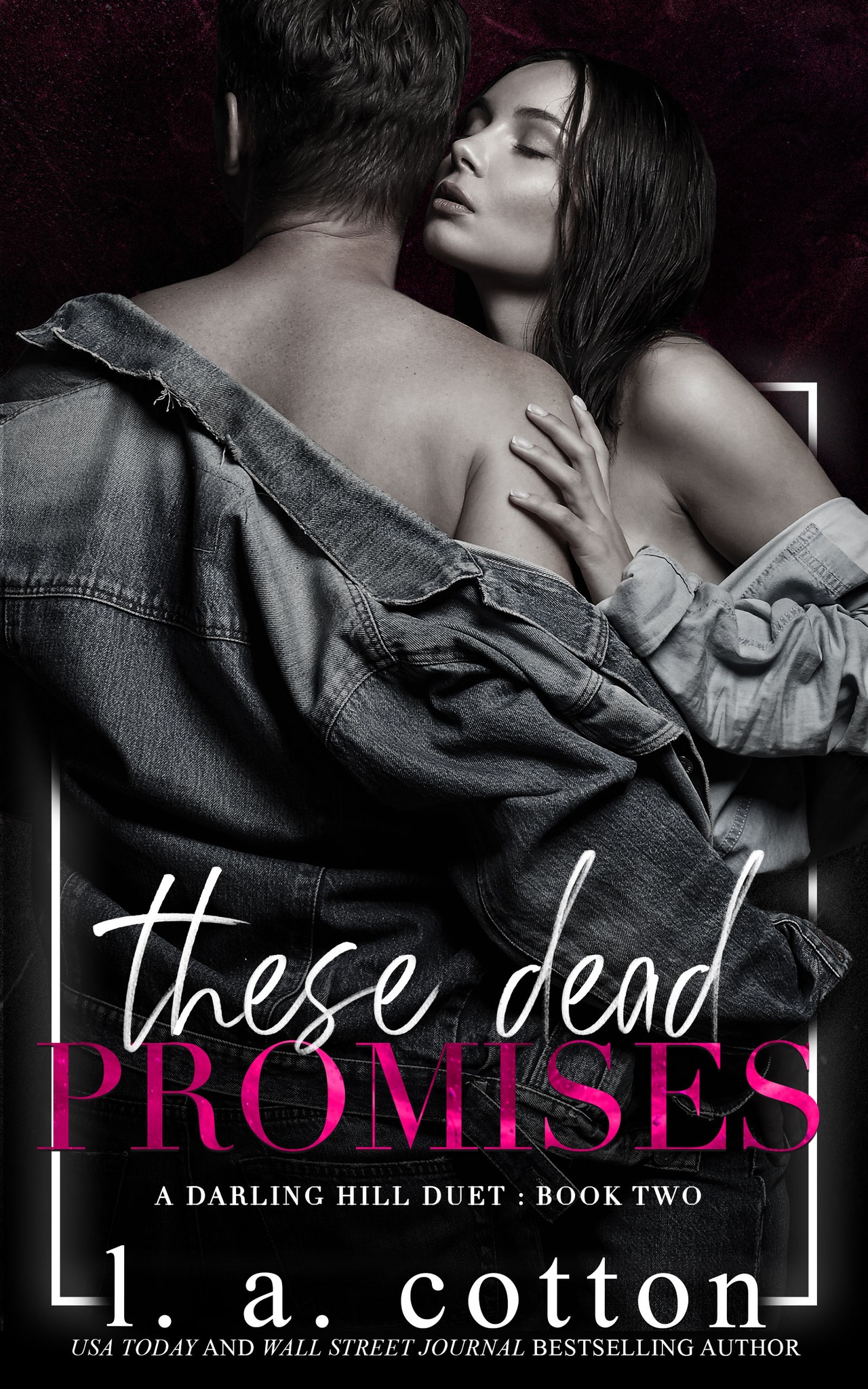 Darling Hill book cover 2