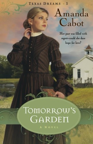 Texas Dreams book cover 3