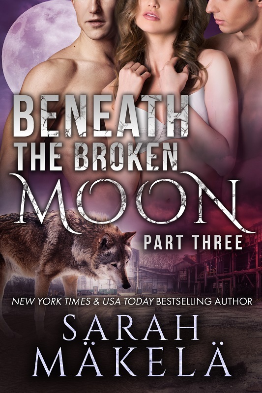 Broken book cover 3