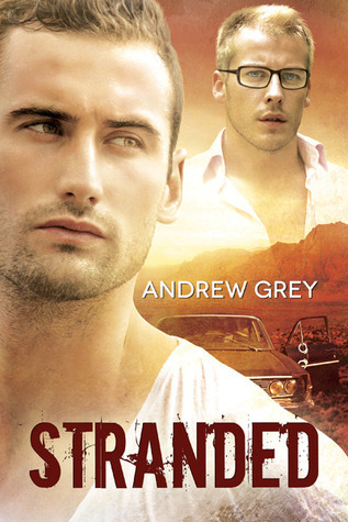 Stranded book cover 1