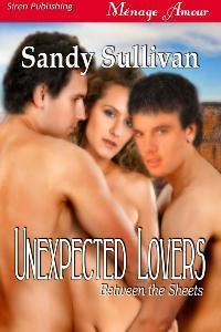 Between the Sheets book cover 2