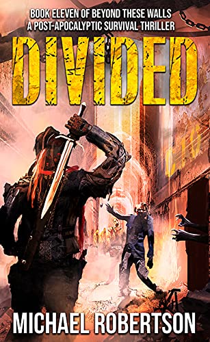 Divided book cover