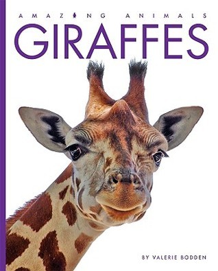 Giraffes book cover