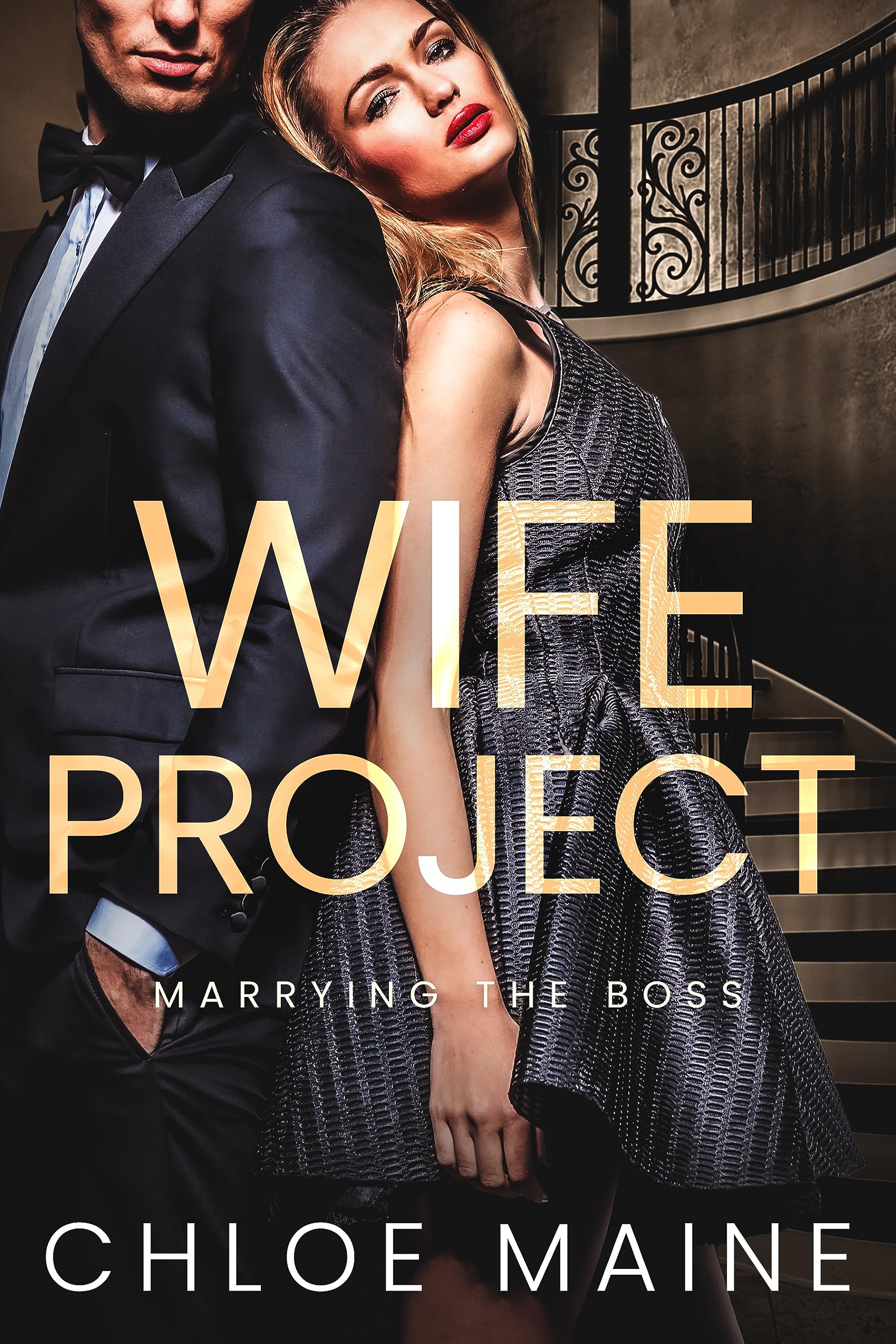 Wife Project book cover