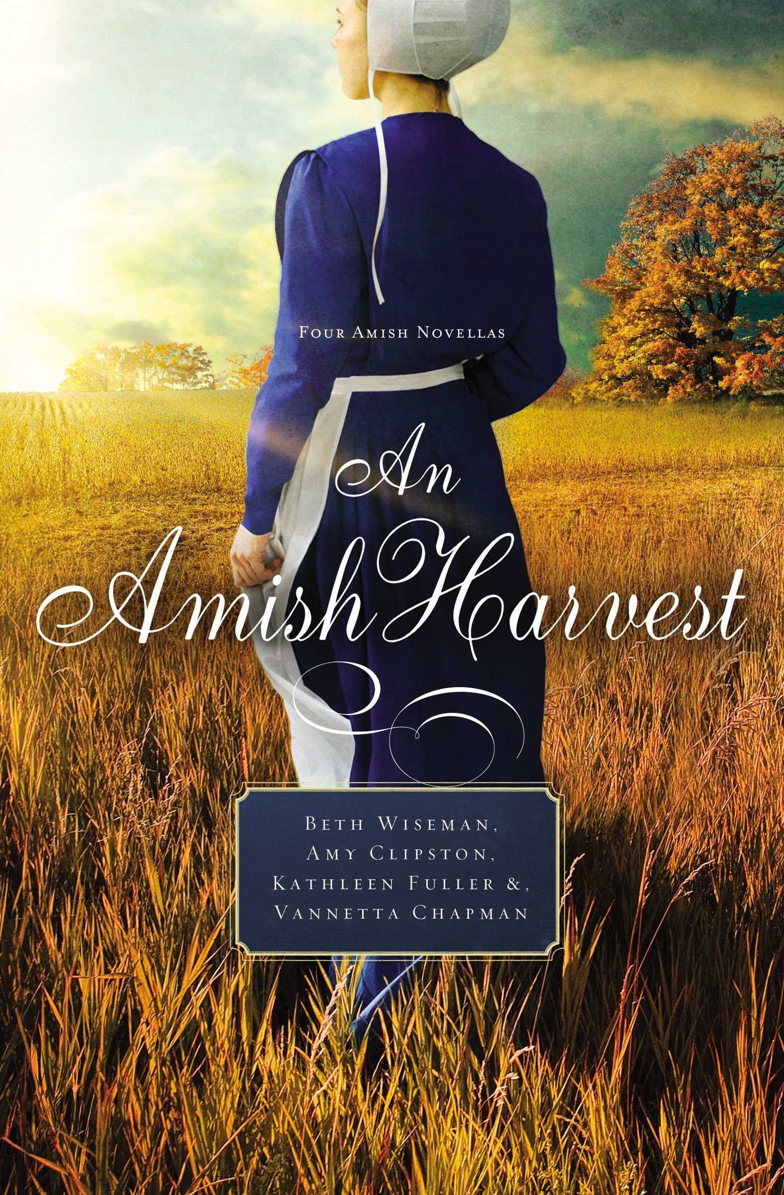 An Amish Harvest book cover