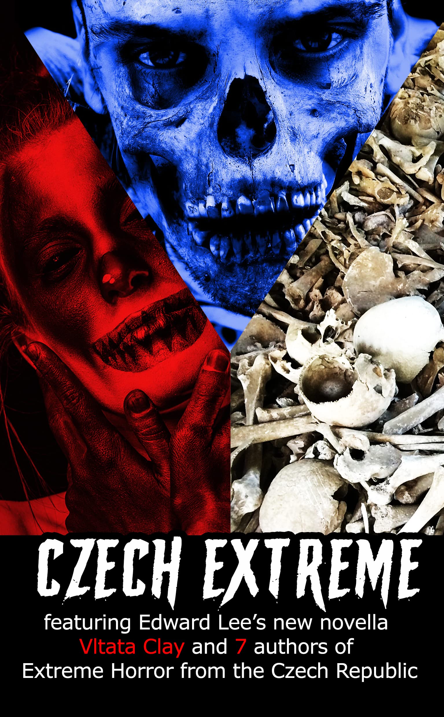 Czech Extreme book cover