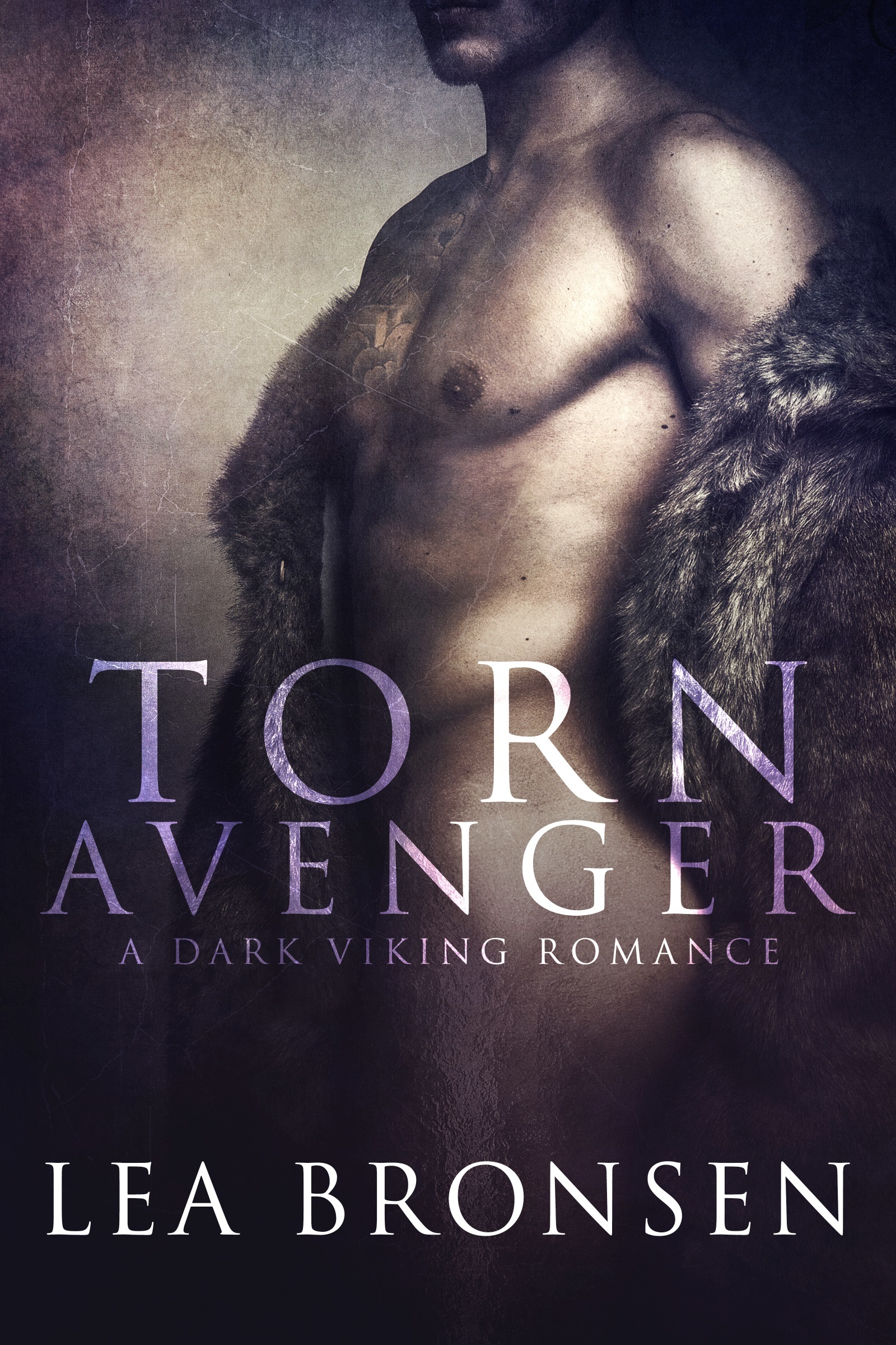 Torn Avenger book cover