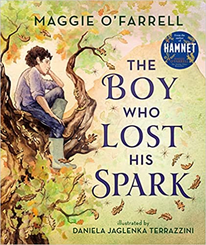 The Boy Who Lost His Spark book cover