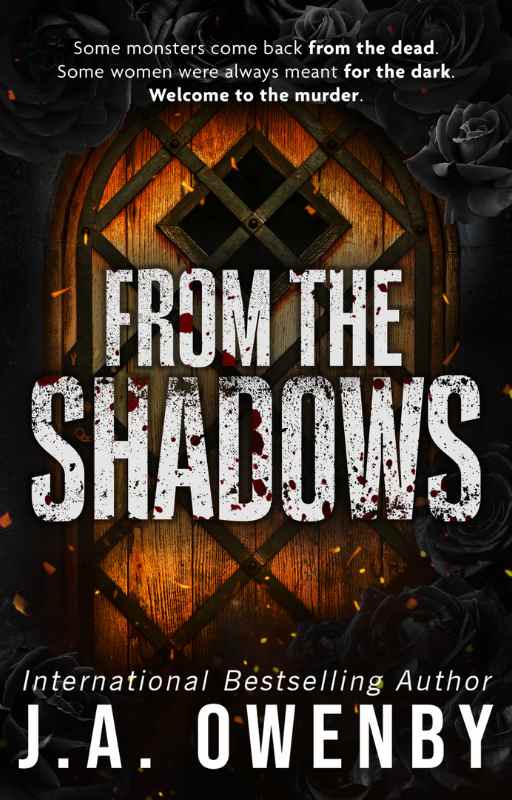 From the Shadows book cover