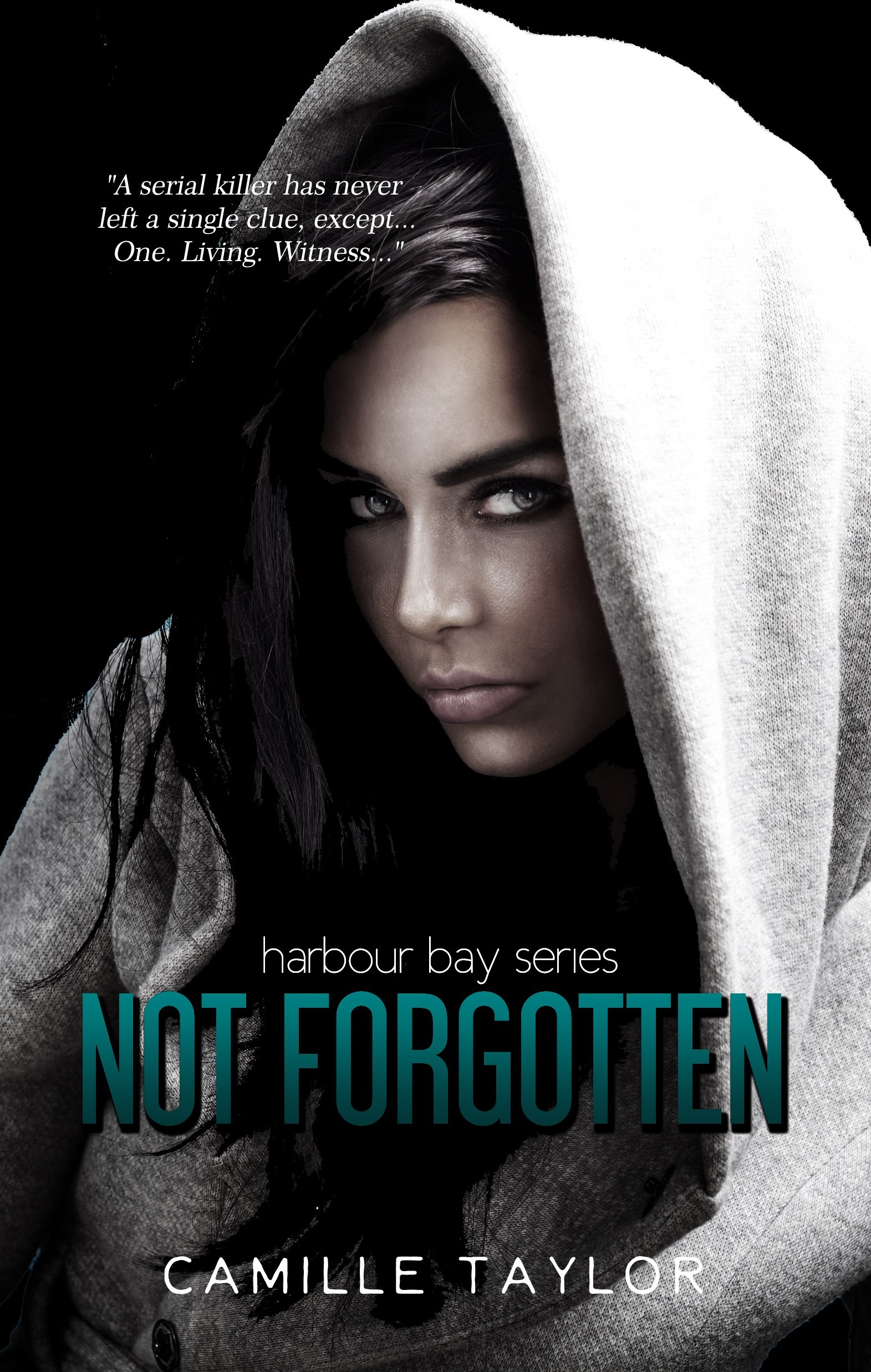 Harbour Bay book cover 1