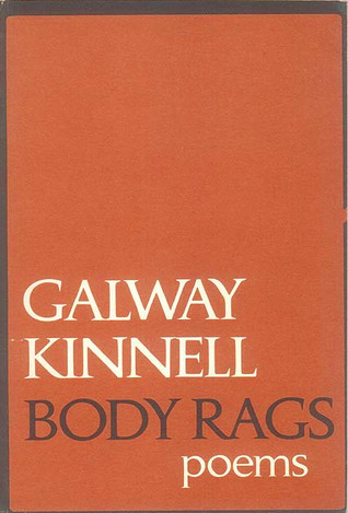Body Rags book cover