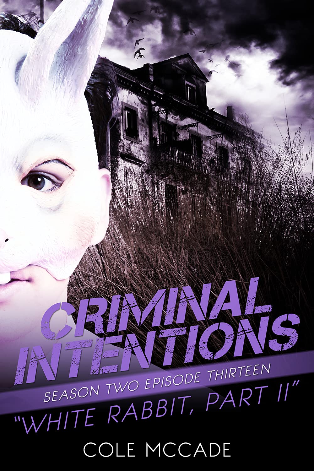 White Rabbit, Part II book cover
