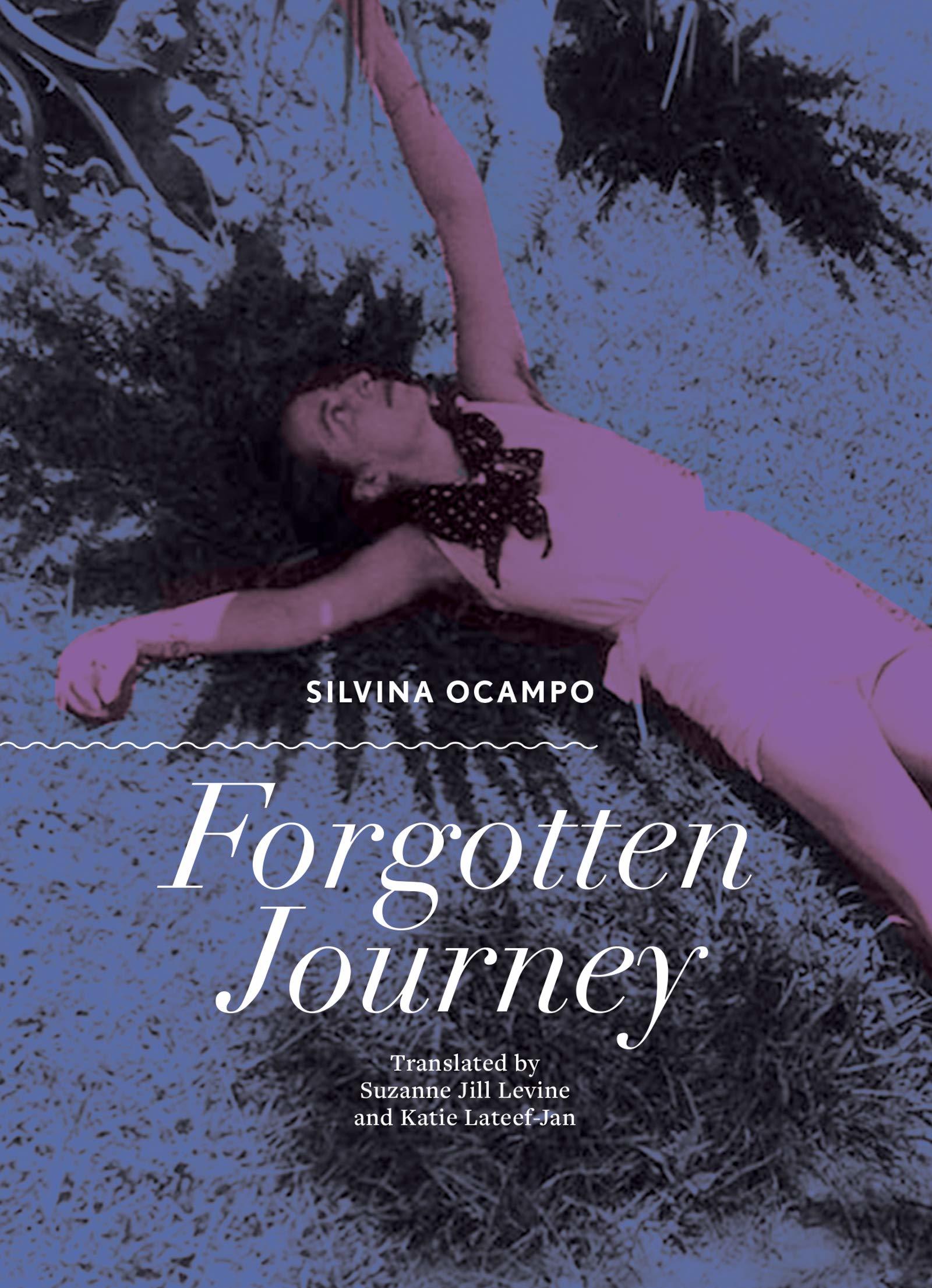 Forgotten Journey book cover