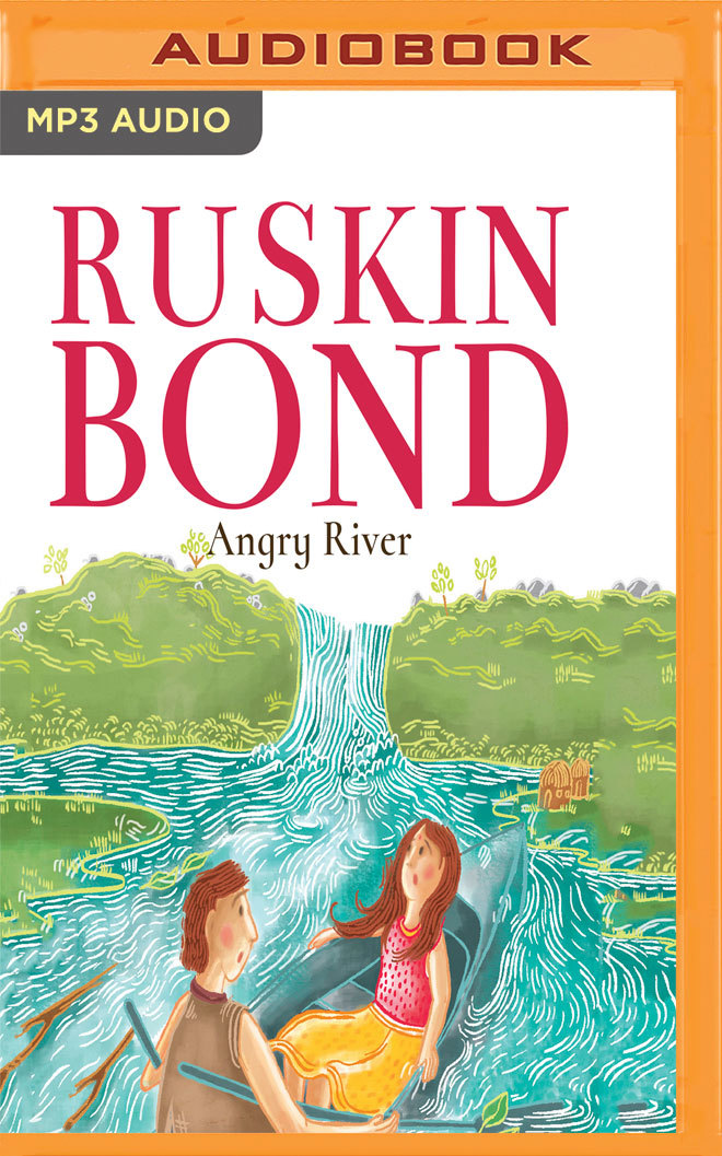Angry River book cover