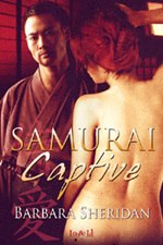 Samurai Captive book cover