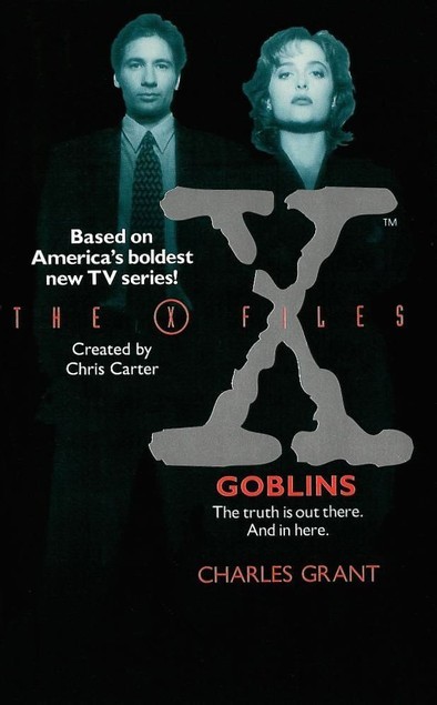 The X-Files book cover 1
