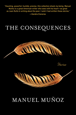 The Consequences book cover