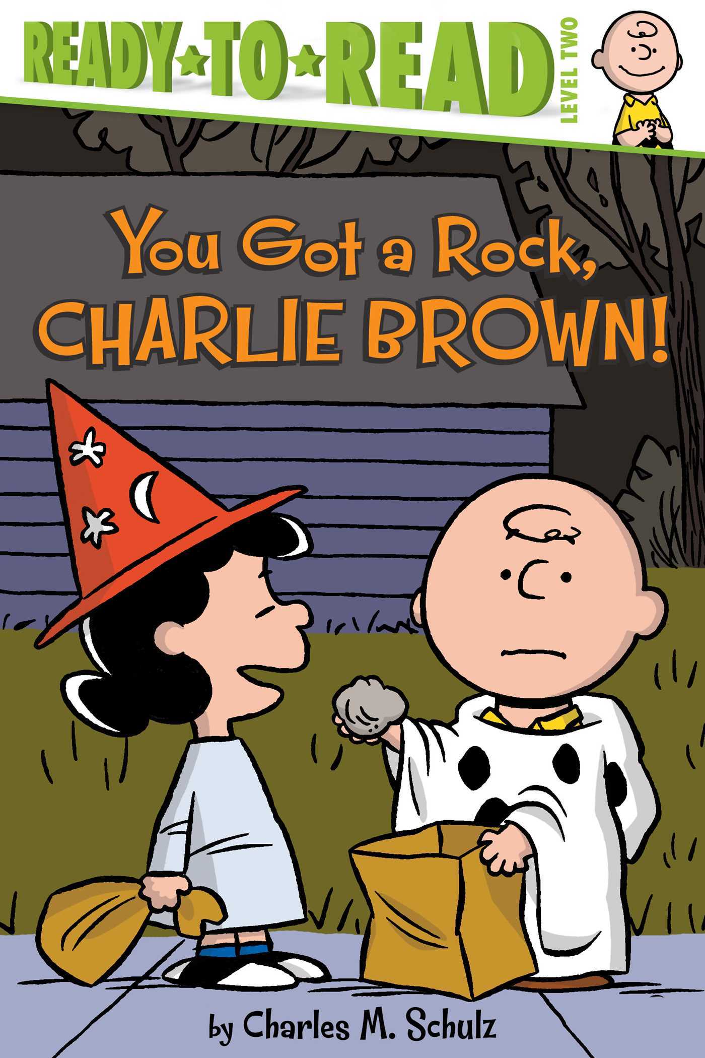 You Got a Rock, Charlie Brown! book cover