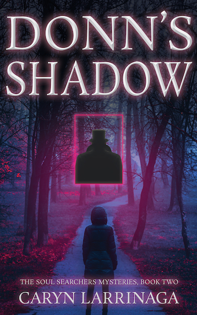 The Soul Searchers Mysteries book cover 2