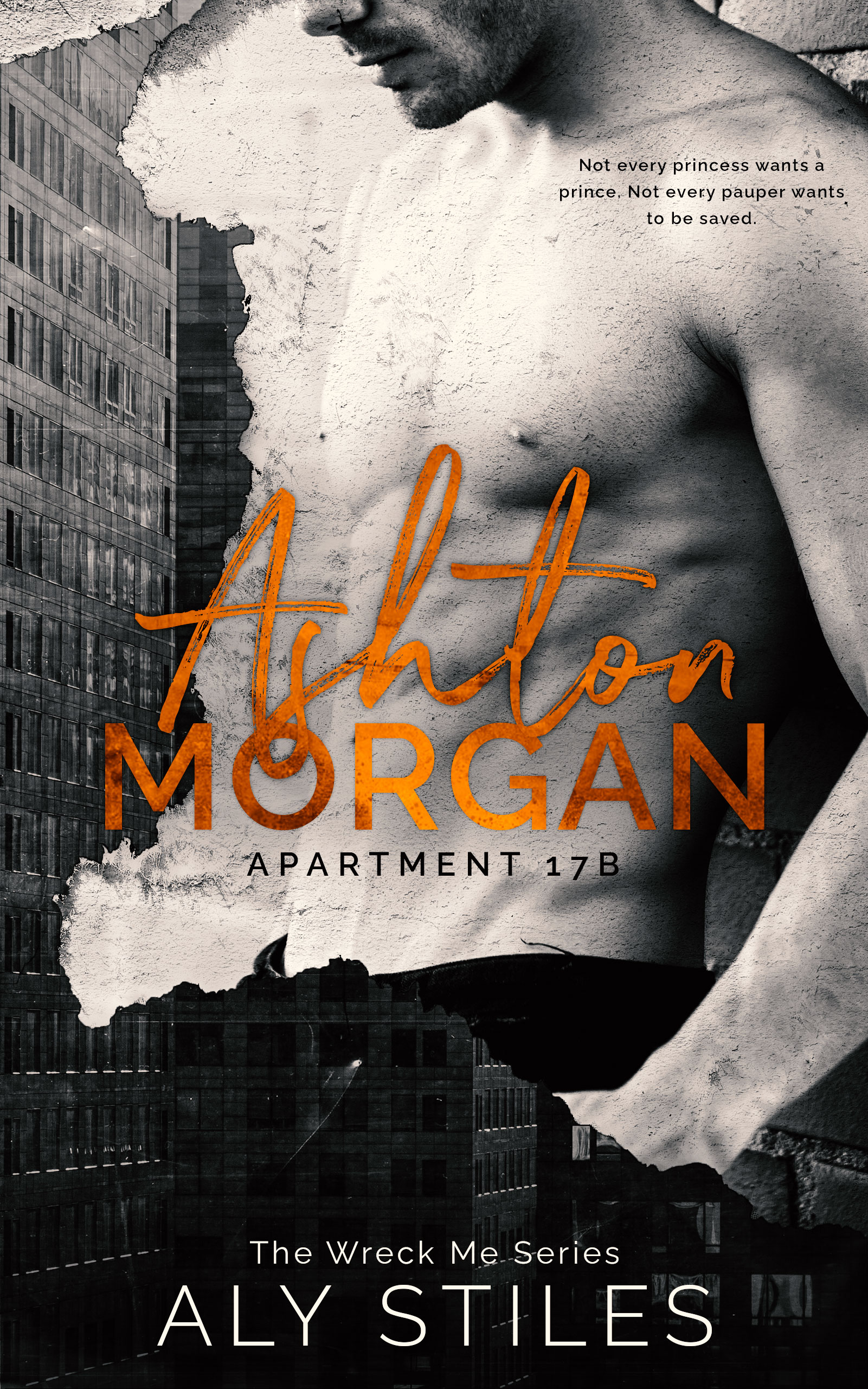 Wreck Me book cover 1