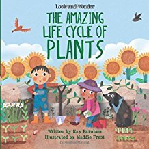 The Amazing Life Cycle of Plants book cover