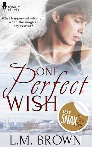 One Perfect Wish book cover