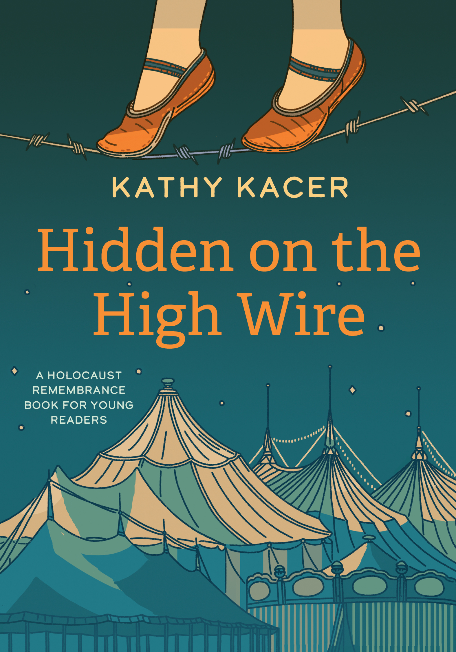 Hidden on the High Wire book cover
