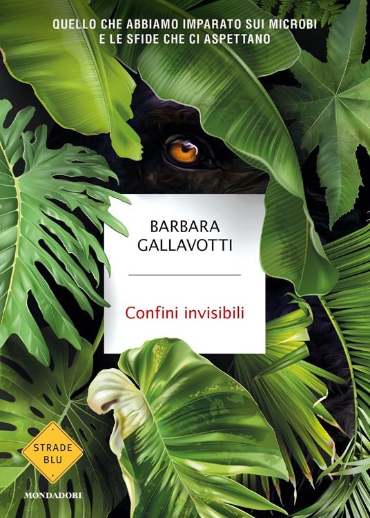 Confini invisibili. Quello che abbiamo imparato sui microbi e le sfide che ci aspettano book cover