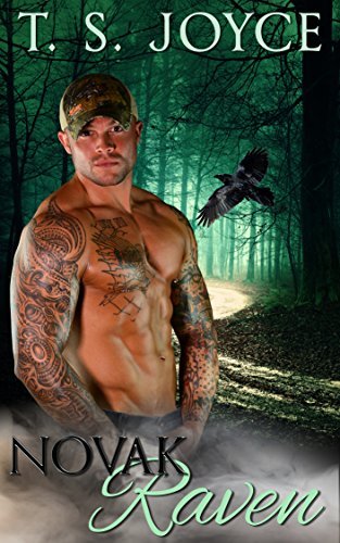 Novak Raven book cover