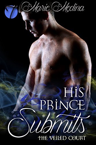 The Veiled Court book cover 1