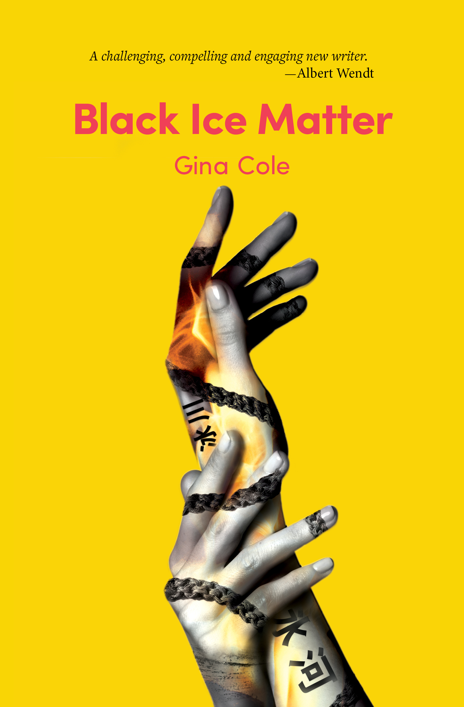 Black Ice Matter book cover