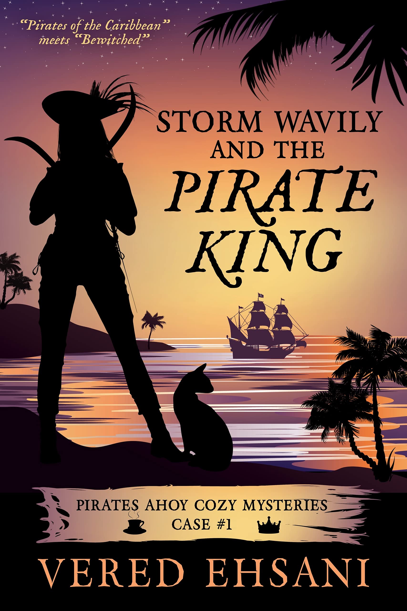 Storm Wavily and the Pirate King book cover