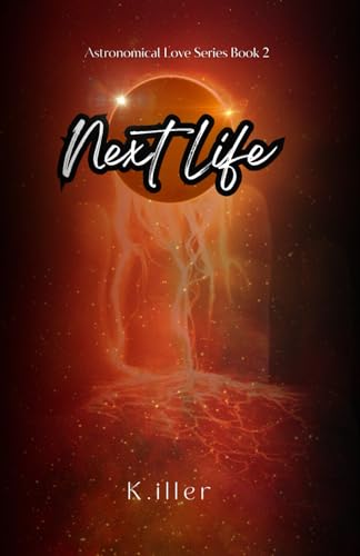 Next Life book cover