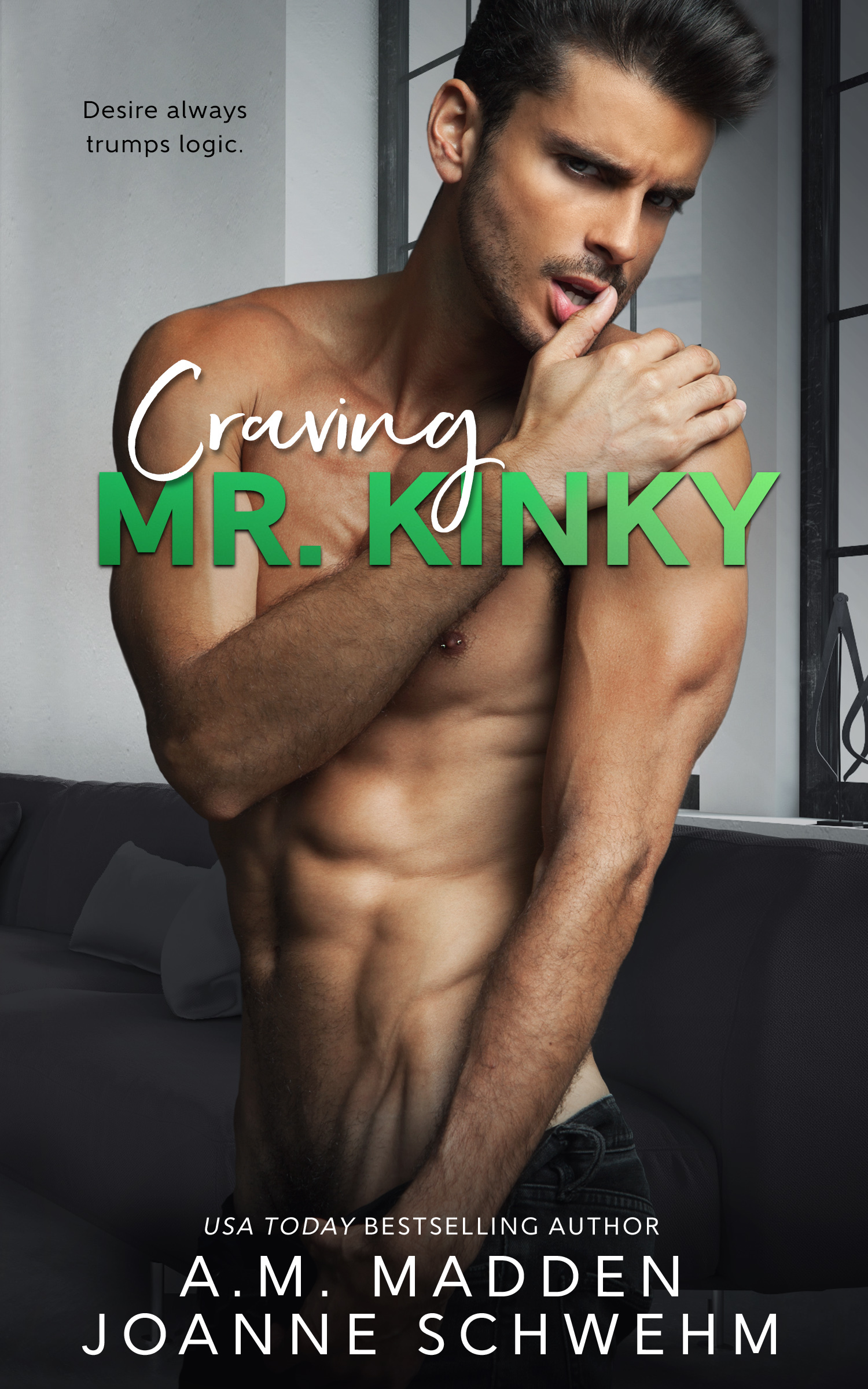 Craving Mr. Kinky book cover
