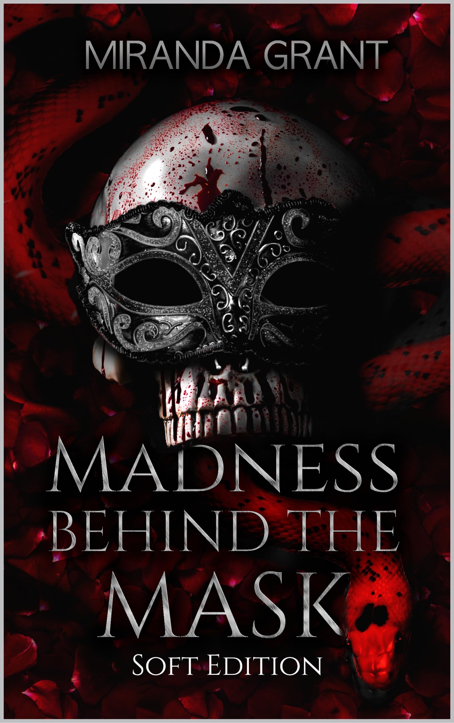 Madness Behind the Mask book cover