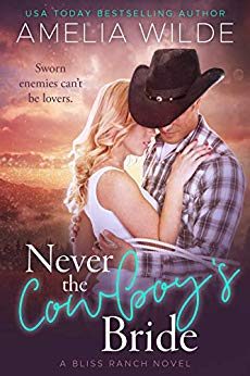Bliss Ranch book cover 1