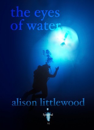 The Eyes Of Water book cover