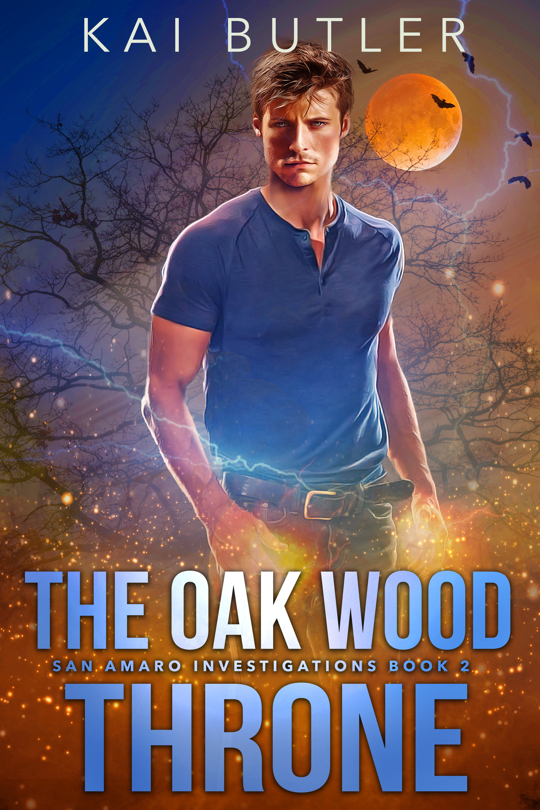San Amaro Investigations book cover 2