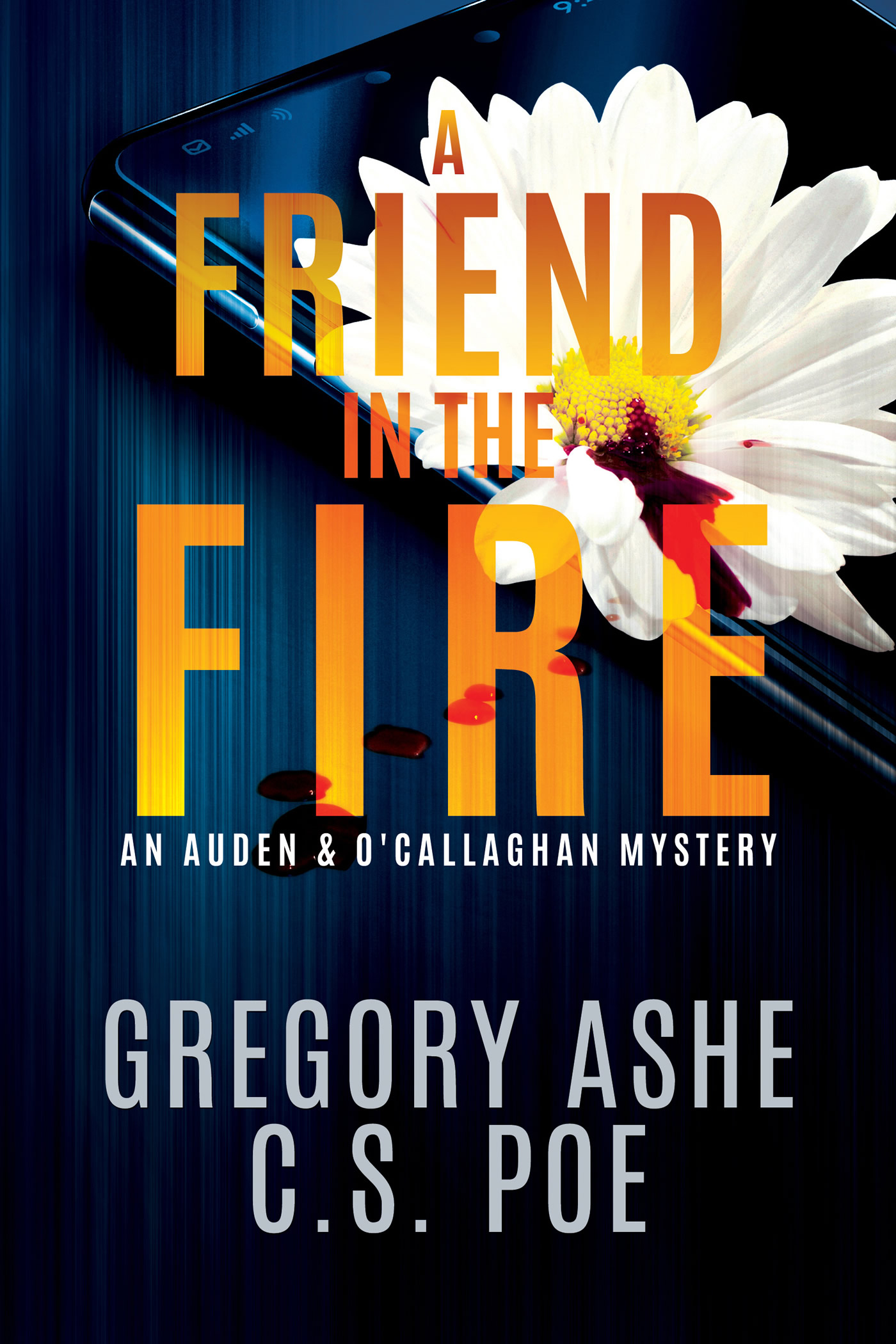 An Auden & O'Callaghan Mystery book cover 2