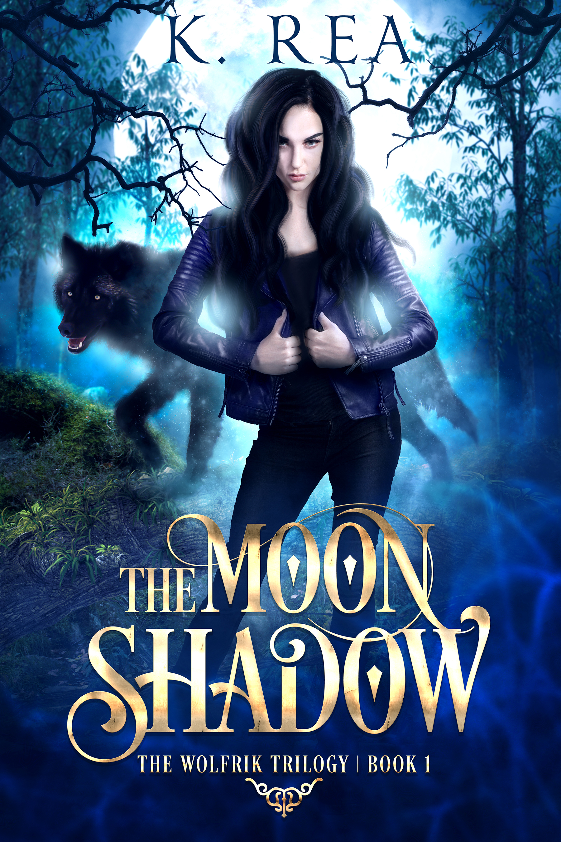 The Wolfrik Trilogy book cover 1