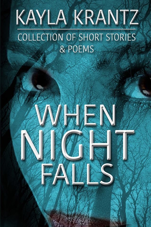 When Night Falls book cover