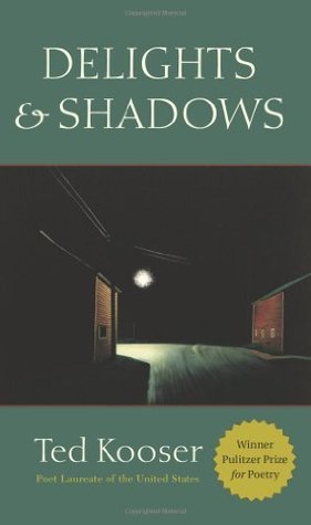 Delights and Shadows book cover